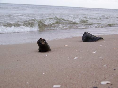 Viel Sand (100_0778.JPG) wird geladen. Eindrucksvolle Fotos aus Lettland erwarten Sie.